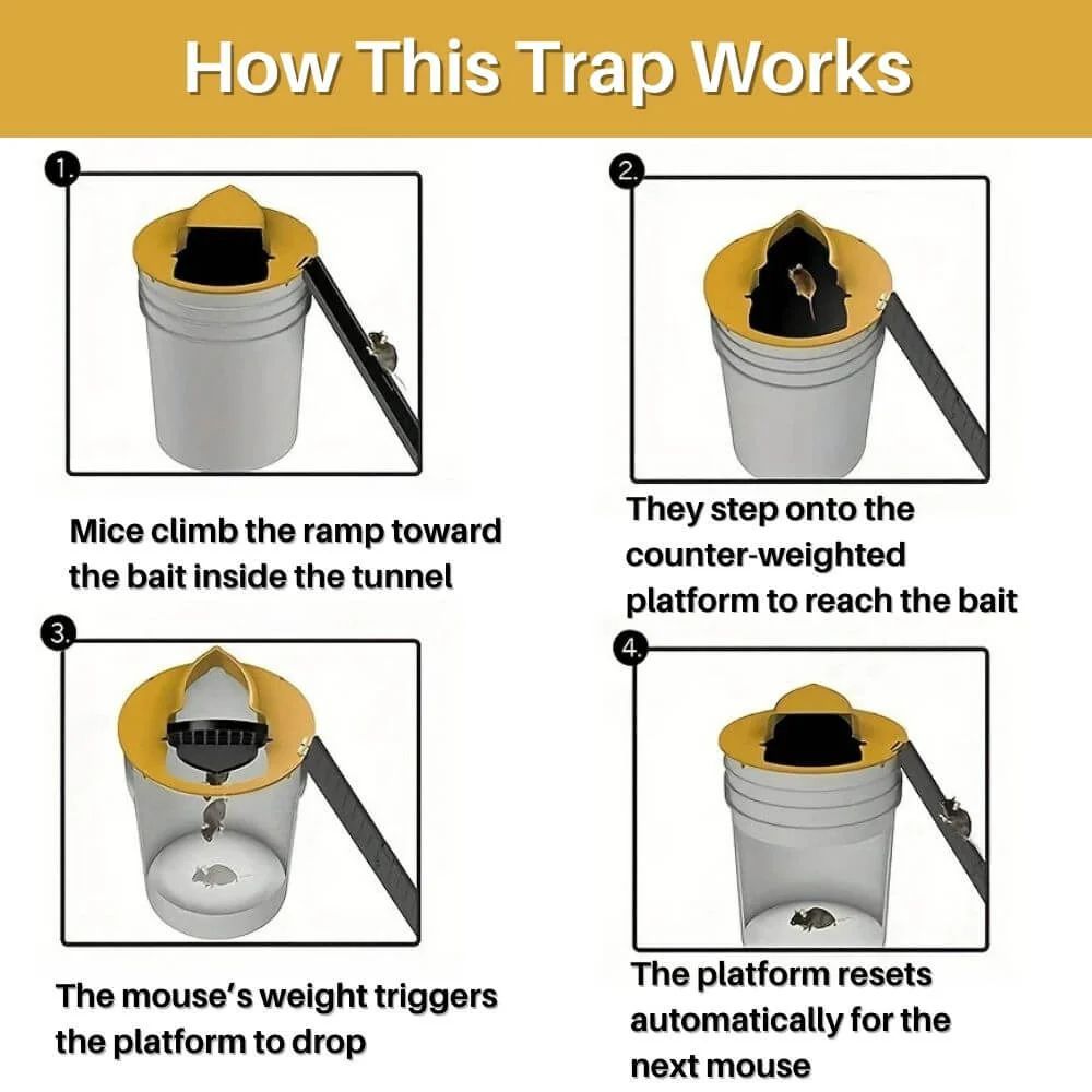 Flap Catch Mouse Trap